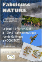DIAPORAMA sur la NATURE 