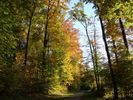 Automne  Hochstatt