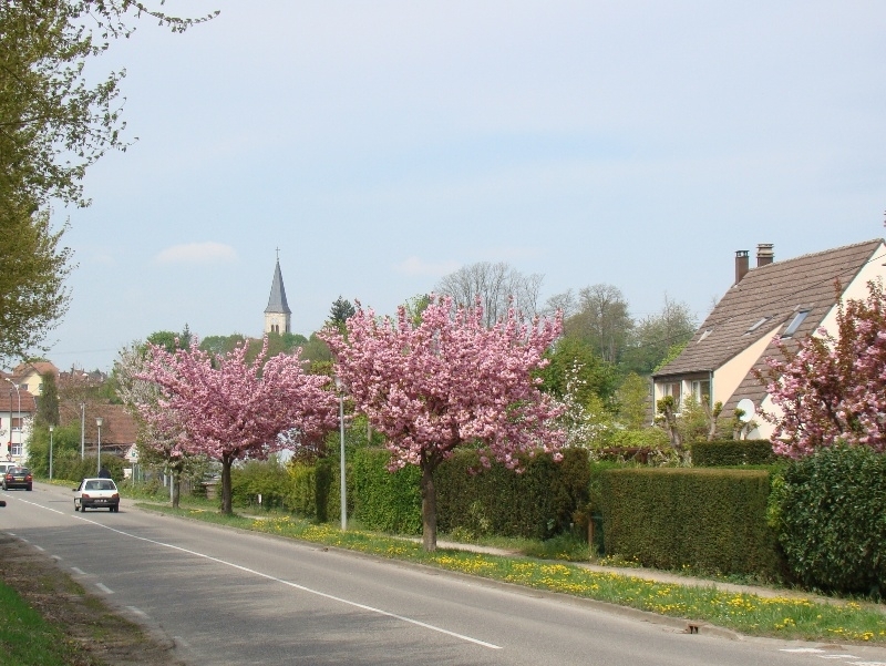 Rue de Zillisheim