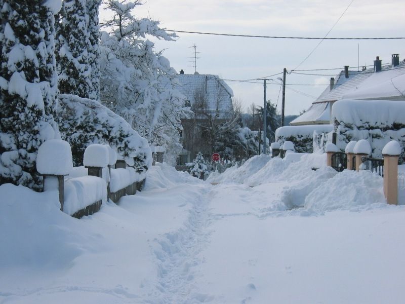 Tempête de neige 2006