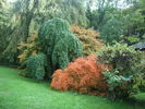 Jardin d'automne