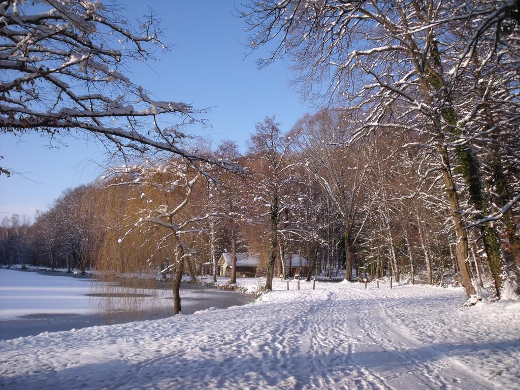 L'tang sous la neige