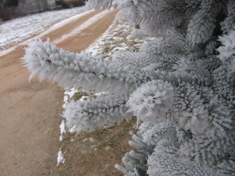 Nature en hiver