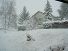 Tempête de neige 2005