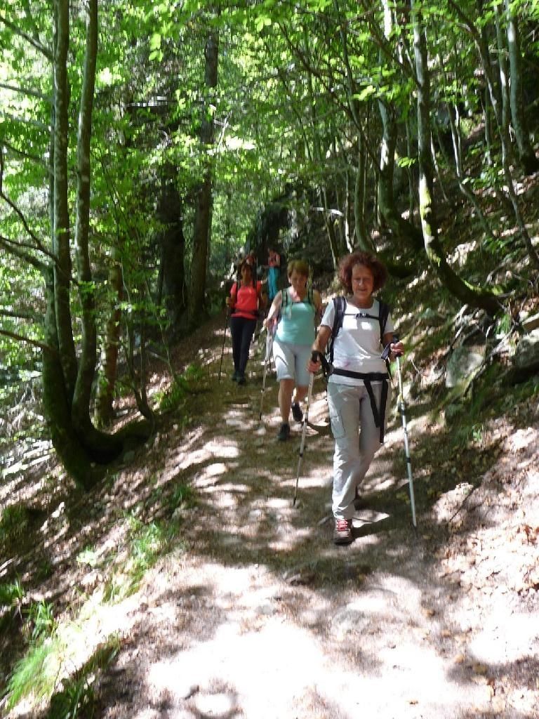 Randonne dans les vosges