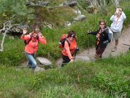 Randonne dans les vosges